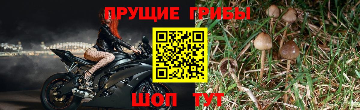 Галлюциногенные грибы MAGIC MUSHROOMS Кисловодск