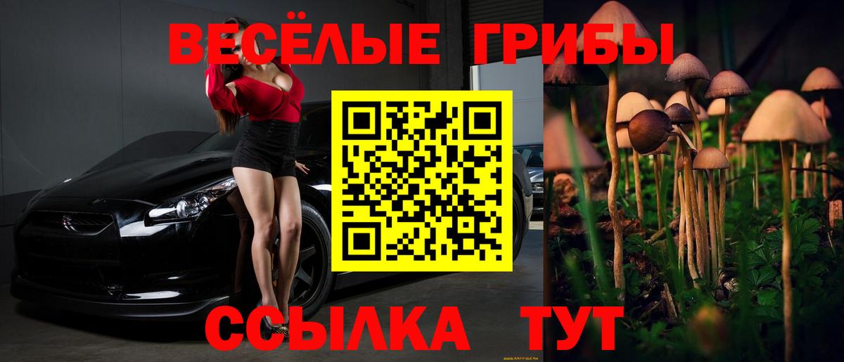 Кисловодск  Псилоцибиновые грибы ЛСД  Вход с VPN 